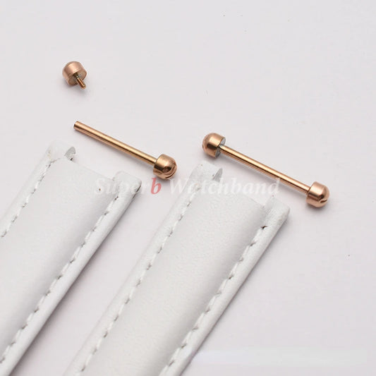 Watch Screw Pin Link Kit, Screw Watch Tube Pin for Leather Watch Band, Pin Buckle, Bracelet Repair 14 16 18 20 22mm