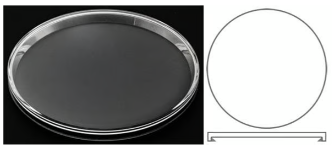 Liste - Verre de montre pour Longines / Saphir ou Minéral / Bombé ou Plat - 1 pièce