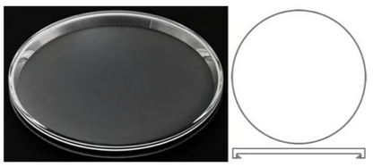 Liste - Verre de montre pour Longines / Saphir ou Minéral / Bombé ou Plat - 1 pièce