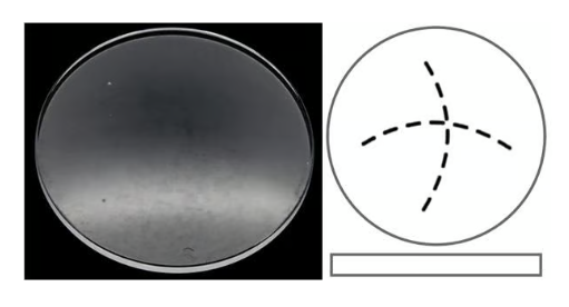 Liste - Verre de montre pour Longines / Saphir ou Minéral / Bombé ou Plat - 1 pièce