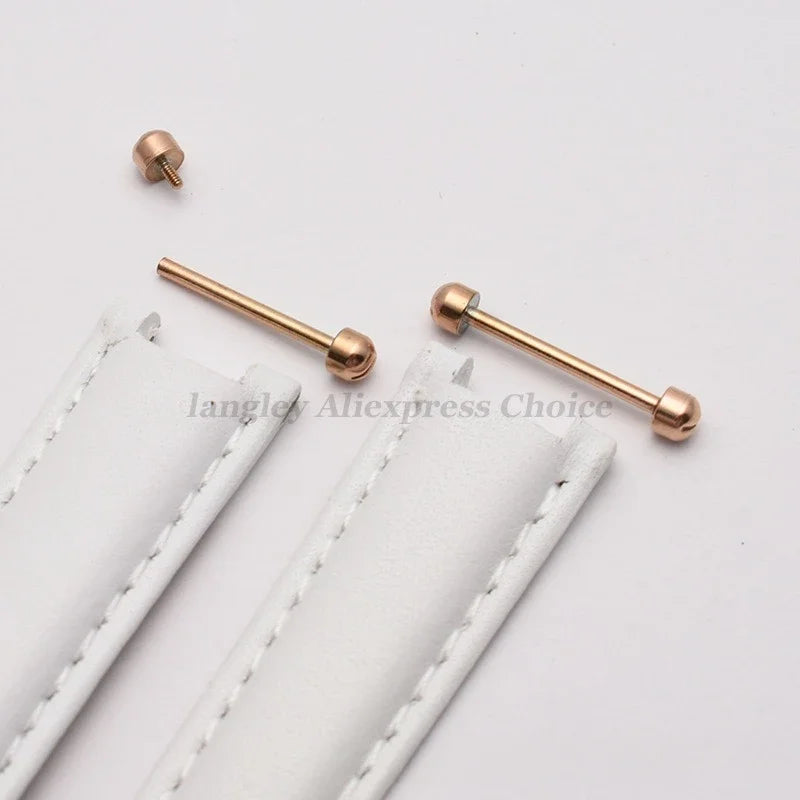 Kit de réparation de bracelet de montre en cuir, tube à vis, lien de tige LDPStem, 14mm, 16mm, 18mm, 20mm, 22mm, goupille de bracelet, 2 pièces, le plus récent