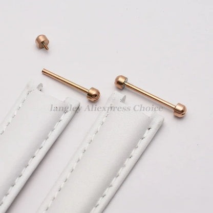 Kit de réparation de bracelet de montre en cuir, tube à vis, lien de tige LDPStem, 14mm, 16mm, 18mm, 20mm, 22mm, goupille de bracelet, 2 pièces, le plus récent