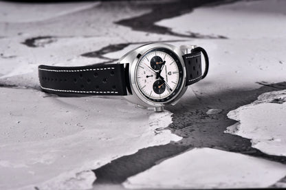 Montre Homme 39mm Chronographe à Quartz - PAGANI DS Panda Dial VK63 Saphir Sport