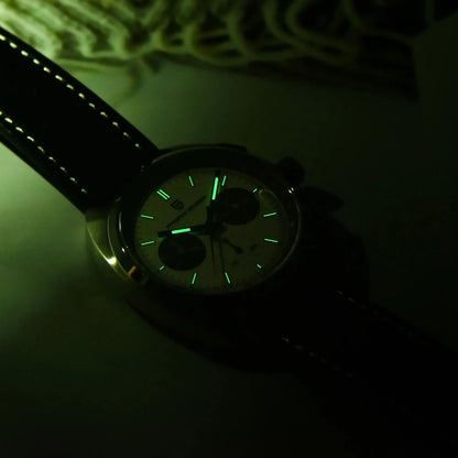 Montre Homme 39mm Chronographe à Quartz - PAGANI DS Panda Dial VK63 Saphir Sport