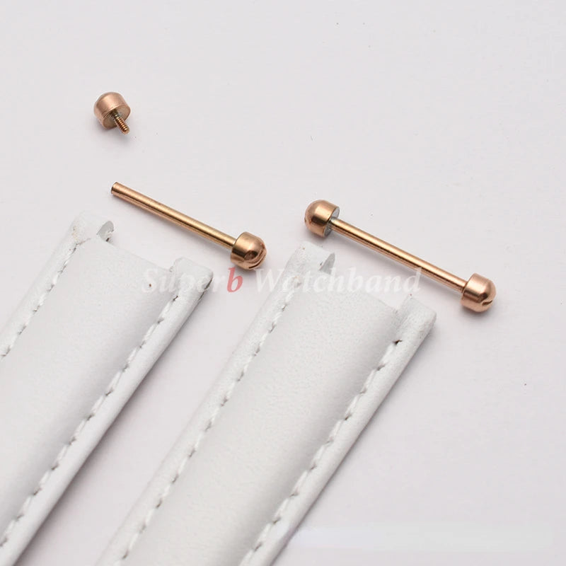 Kit de maillons de tige de vis de montre, tige de Tube de vis de montre à visser pour Bracelet de montre en cuir, fermoir à broche, réparation de Bracelet 14 16 18 20 22mm