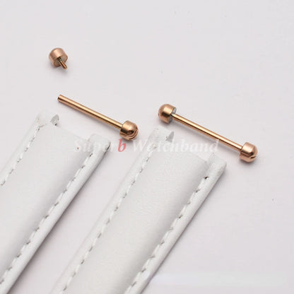 Kit de maillons de tige de vis de montre, tige de Tube de vis de montre à visser pour Bracelet de montre en cuir, fermoir à broche, réparation de Bracelet 14 16 18 20 22mm