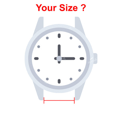 Da 6 mm a 24 mm Ø 1,78 mm - Femmina - Barrette a molla per cinturino orologio - Acciaio inossidabile 316L - Punta 1,25 mm - Diametro di inserimento 1 mm - Swiss Made - 2 pezzi