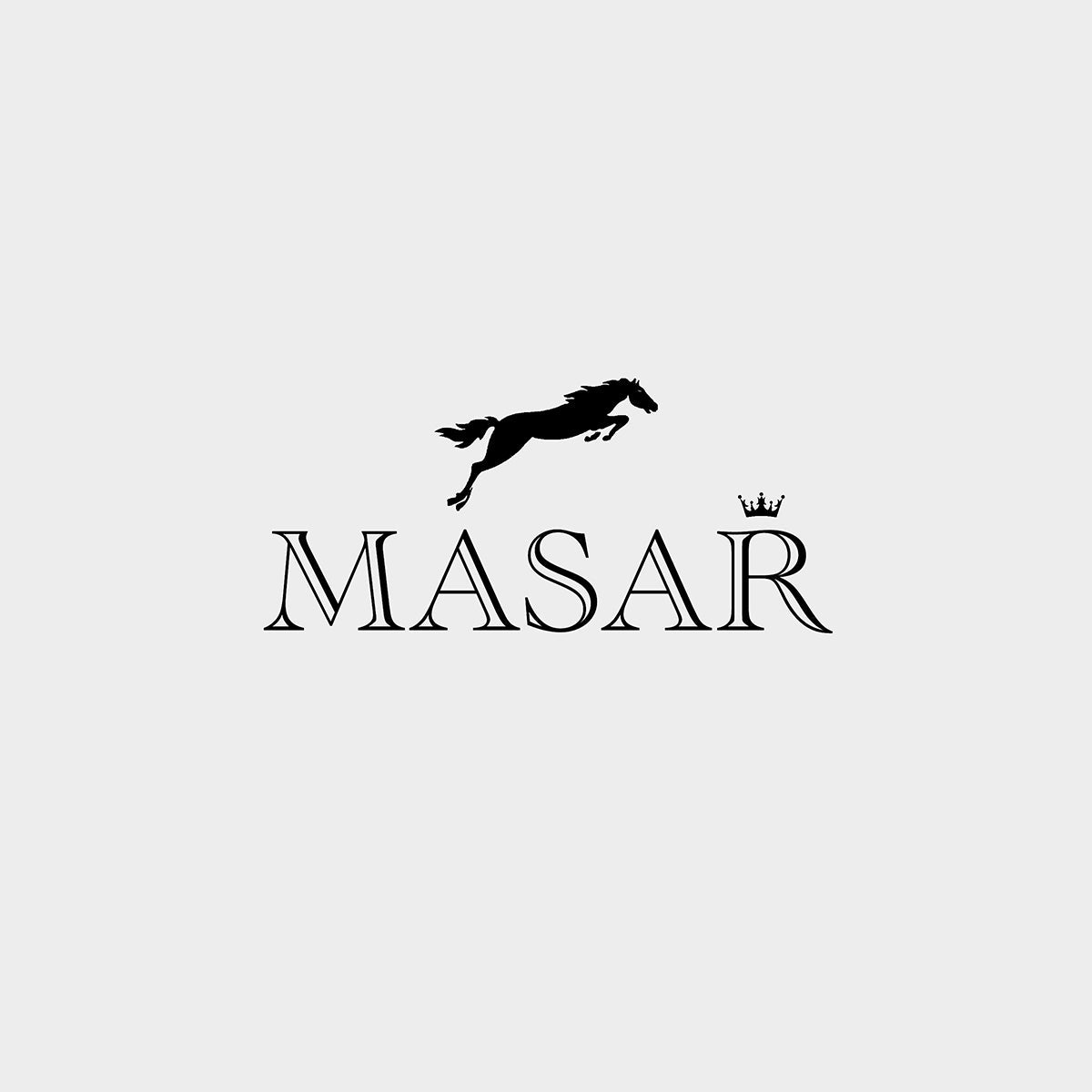 Masar Kit SLX Ø 2,0mm Barrettes à ressort pour bracelet de montre - Inox 316L - 0,8mm - 2 Pcs + 1 Outil