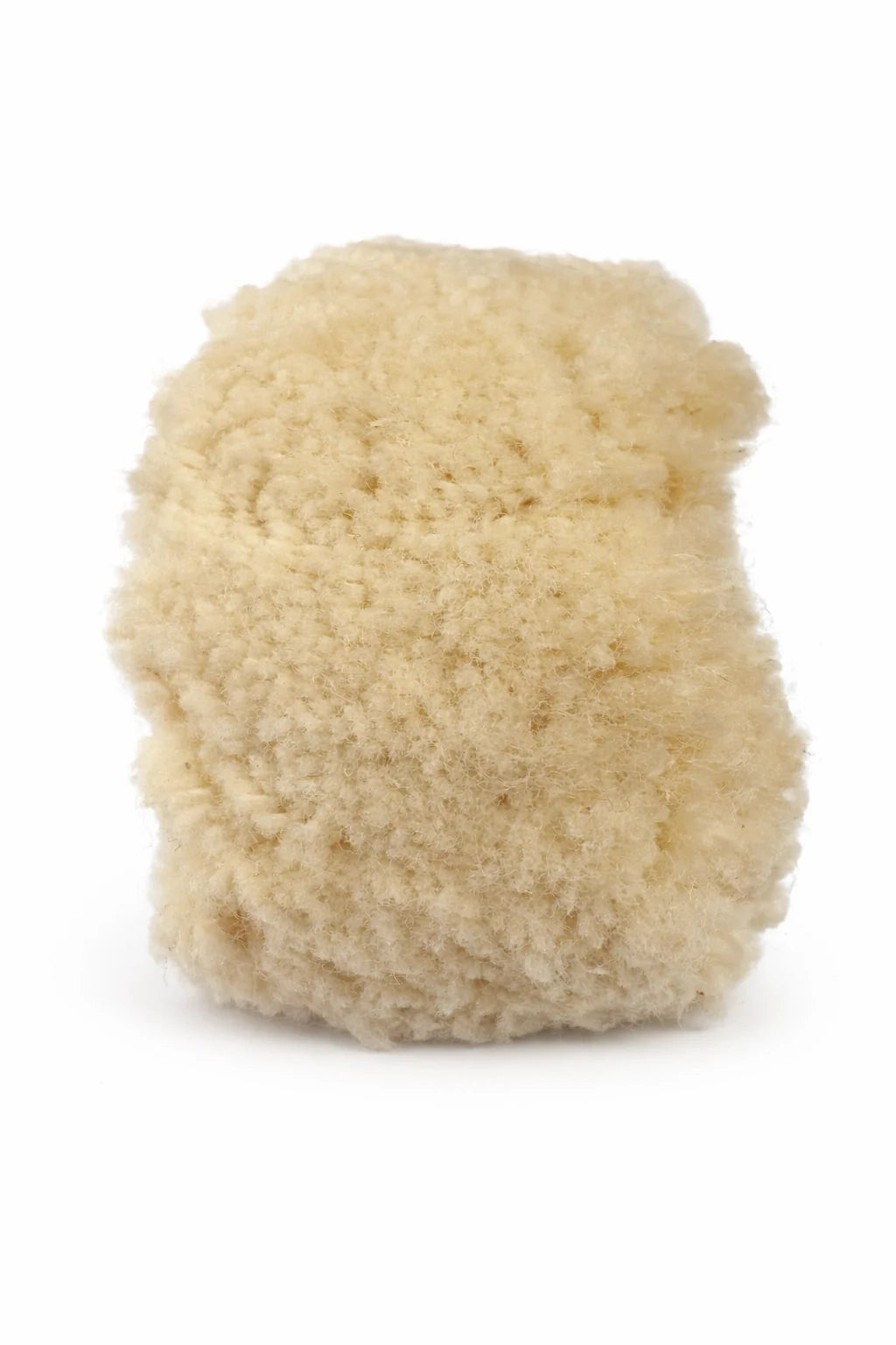 Bergeon 1175 – 2 en 1 - Roue de Polissage (Acier Poli Miroir) / Brosse ultra douce de nettoyage - 20mm x Ø 60mm - 1 Pc