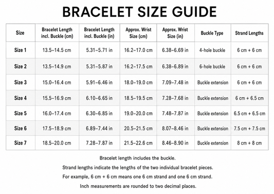 Bracelet Montre Maille Requin (Shark) Noir - Acier 304 Poli Miroir - Boucle Déployante micro-réglages / Premium